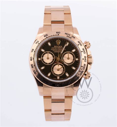 rolex daytona red gold|daytona rolex gold price.